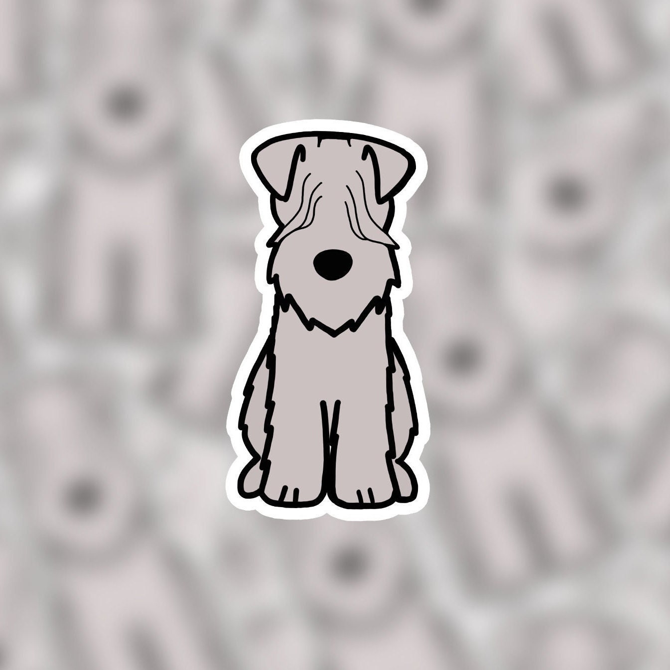 Soft Coated Wheaten Terrier 