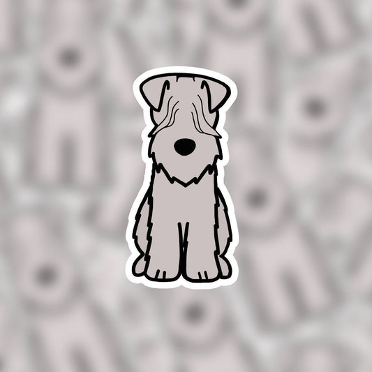 Soft Coated Wheaten Terrier 