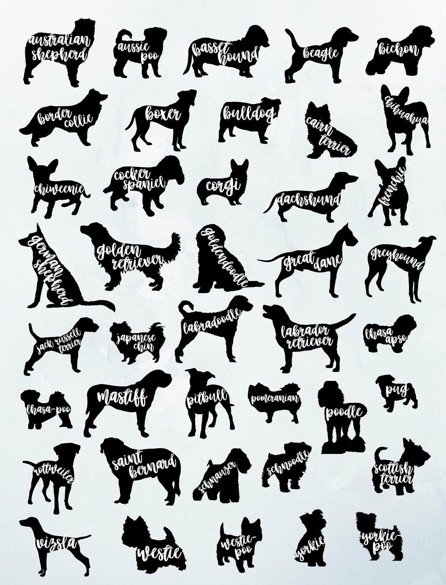 Dog Breeds 