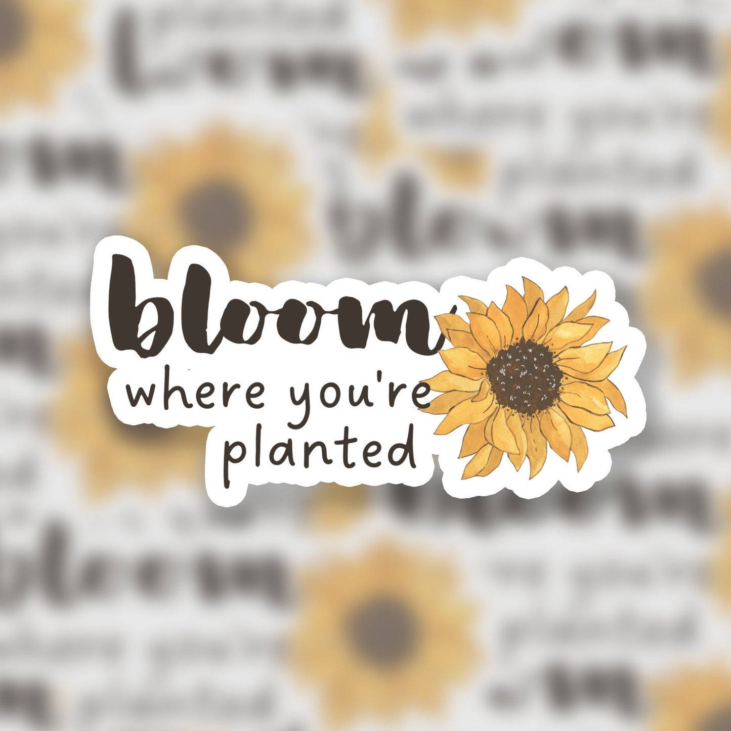 Bloom Where You're Planted 